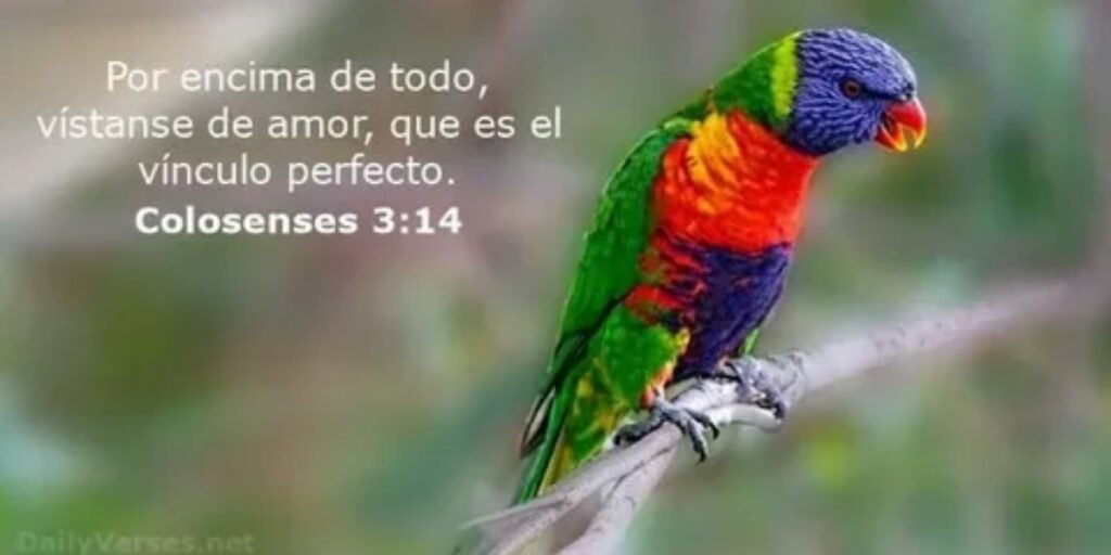 Colossians-314-–-Perfect-Unity-in-Love.