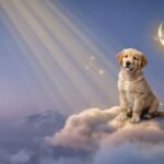Spiritual Meaning of Puppies in Dreams: A Deep and Gentle Message from Within